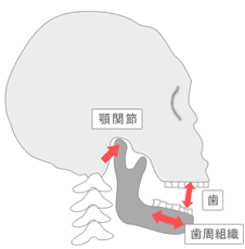 顎関節症は治療を受けなくても改善する？セルフケア方法や放置するリスクを解説