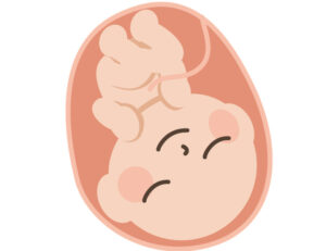 妊娠中の歯ぐき出血の原因とマタニティ期のオーラルケアを解説